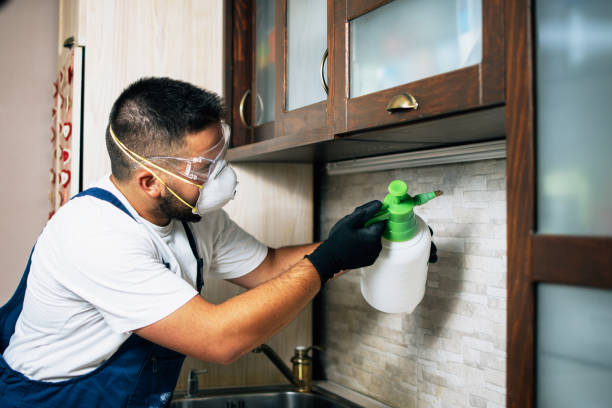 Best Cockroach Control Services  in Miles City, MT