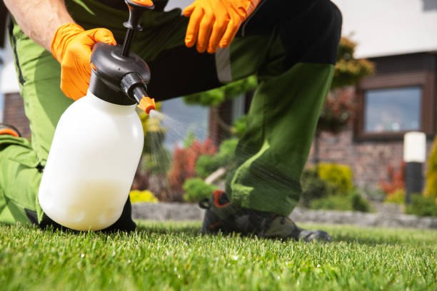 Best Pest Control Near Me  in Miles City, MT