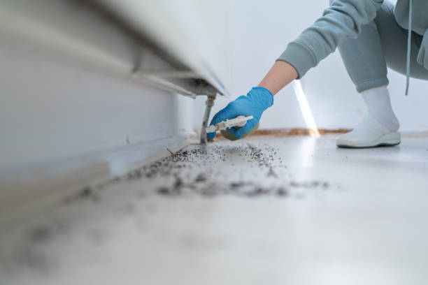 Professional Pest Control in Miles City, MT