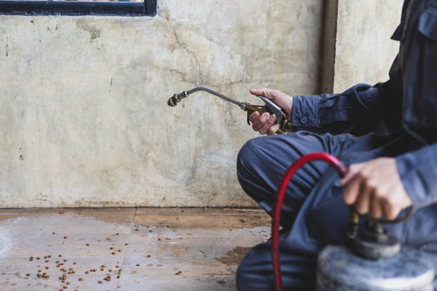 Best Pest Prevention Services  in Miles City, MT